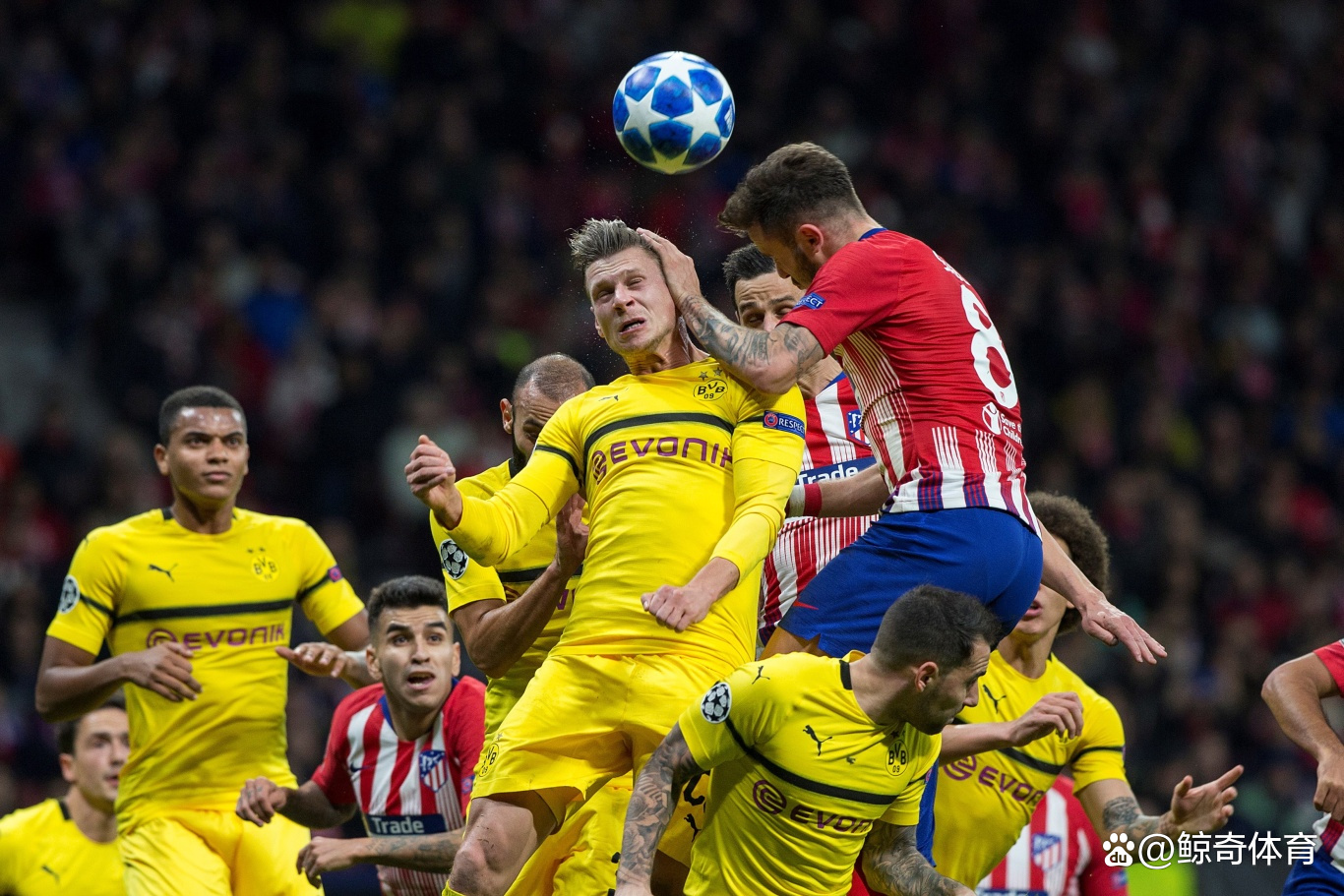 法兰克福对战多特蒙德的期待